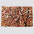 Life‘s Puzzle